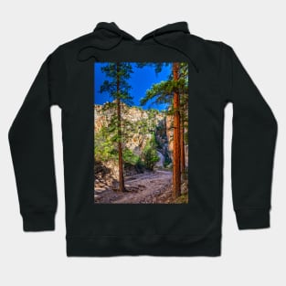 Lick Wash Trail Hike Hoodie